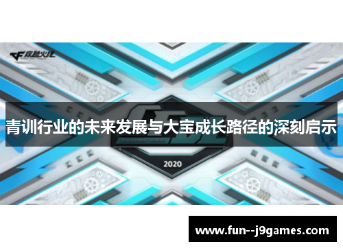 青训行业的未来发展与大宝成长路径的深刻启示